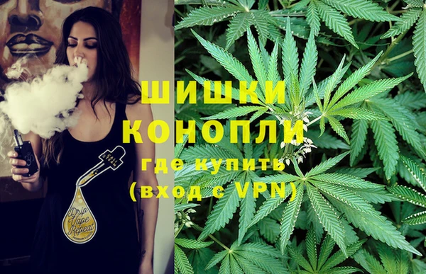 скорость Алзамай
