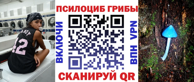 kraken сайт  Чехов  Псилоцибиновые грибы прущие грибы  где можно купить  